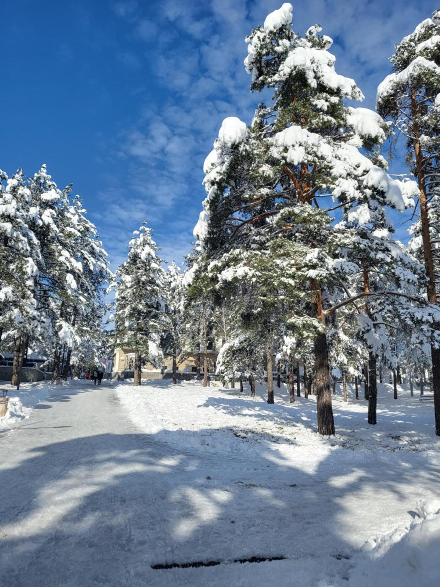 Apartments Vila Velickovic Златибор Экстерьер фото